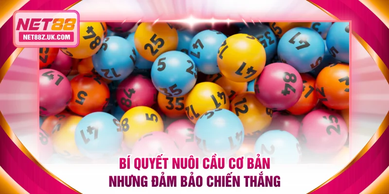 Bí quyết nuôi cầu cơ bản nhưng chắc chắn cơ hội chiến thắng