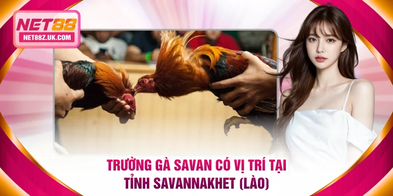Trường gà Savan có vị trí tại tỉnh Savannakhet (Lào)